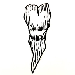 250x250 Young Tattoo Artist Tumblr