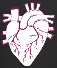 190x228 Anatomical Heart Drawing Trucker Cap Spreadshirt