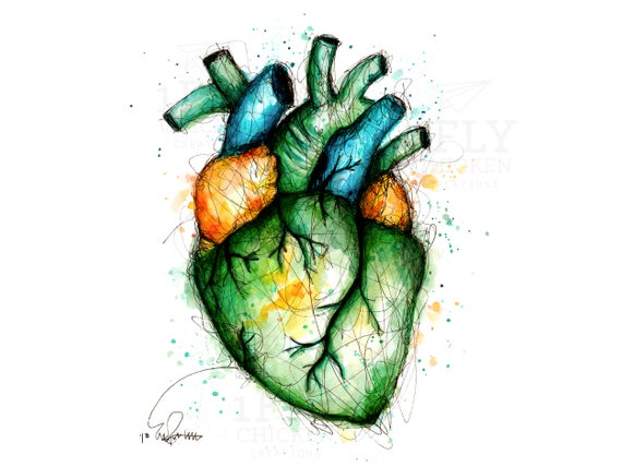 570x428 Anatomical Heart Watercolor Ink Painting Print Etsy