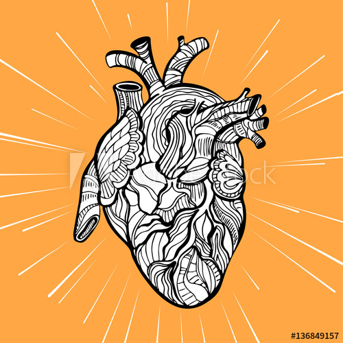 500x500 Hand Drawing Sketch Anatomical Heart Doodle Zentangle Vector