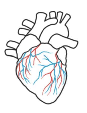 350x450 Outlind Detailed Drawing Heart Tattoos Ideas And Designs