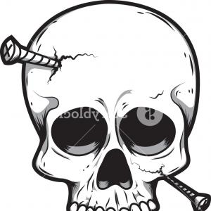 300x300 Anatomical Skulls Vector Set Hand Drawn Soidergi