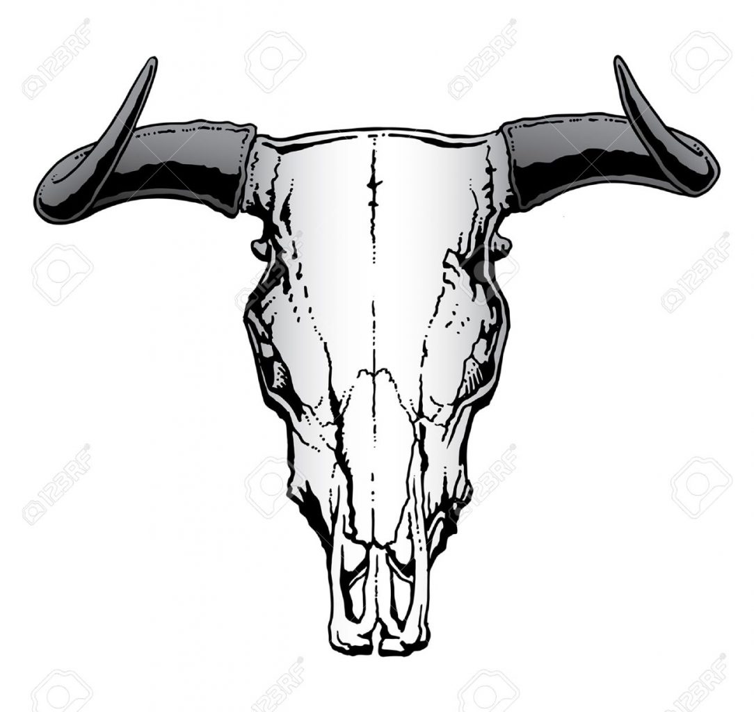 1084x1024 Longhorn Bull Skull Drawing Color Tattoo Of Picasso