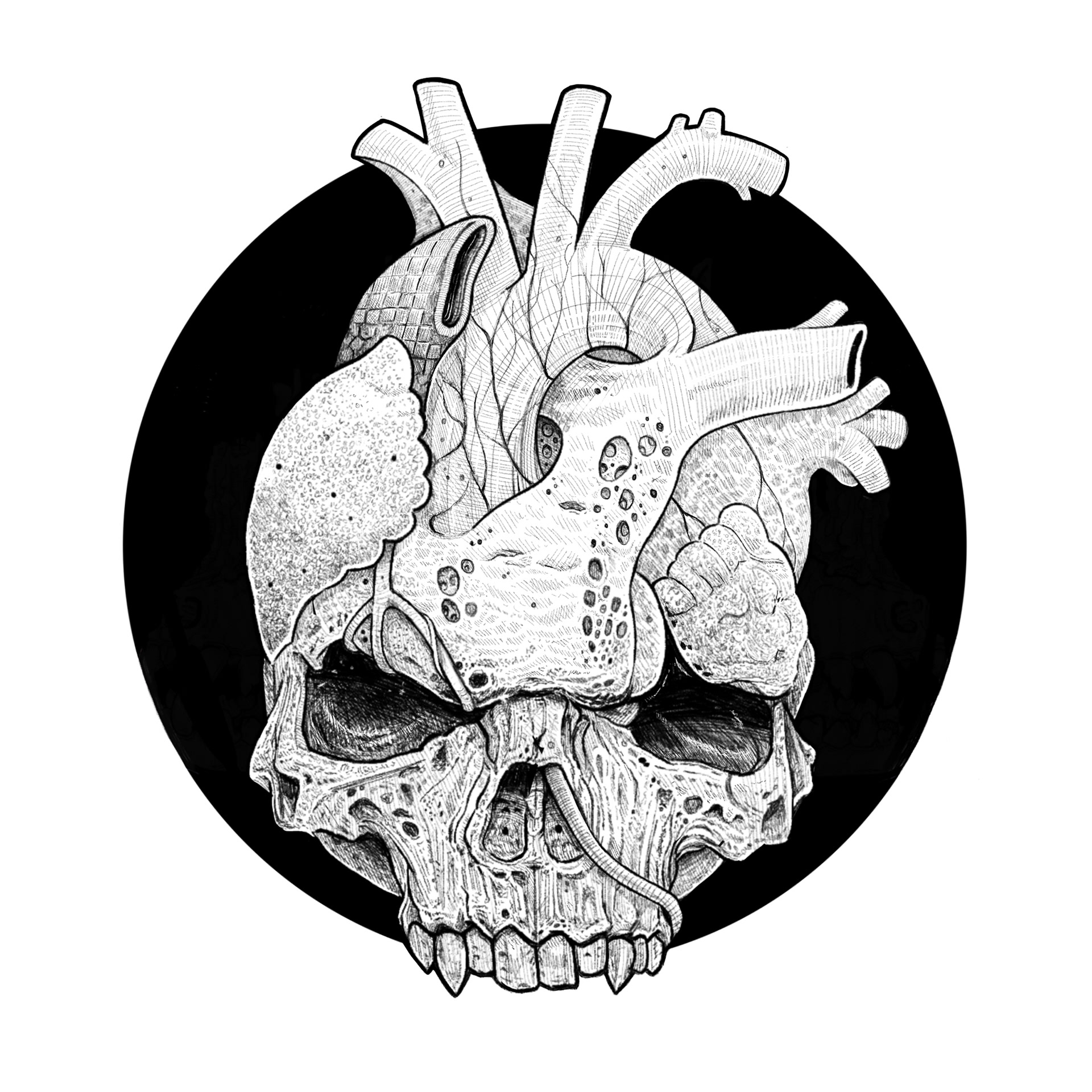 1920x1920 Luke Spicer Illustration