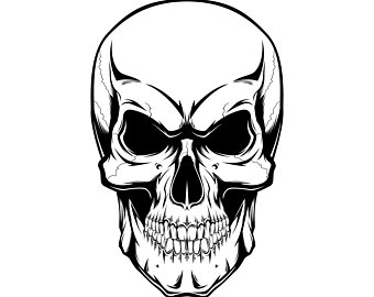 340x270 Skull Illustration Etsy