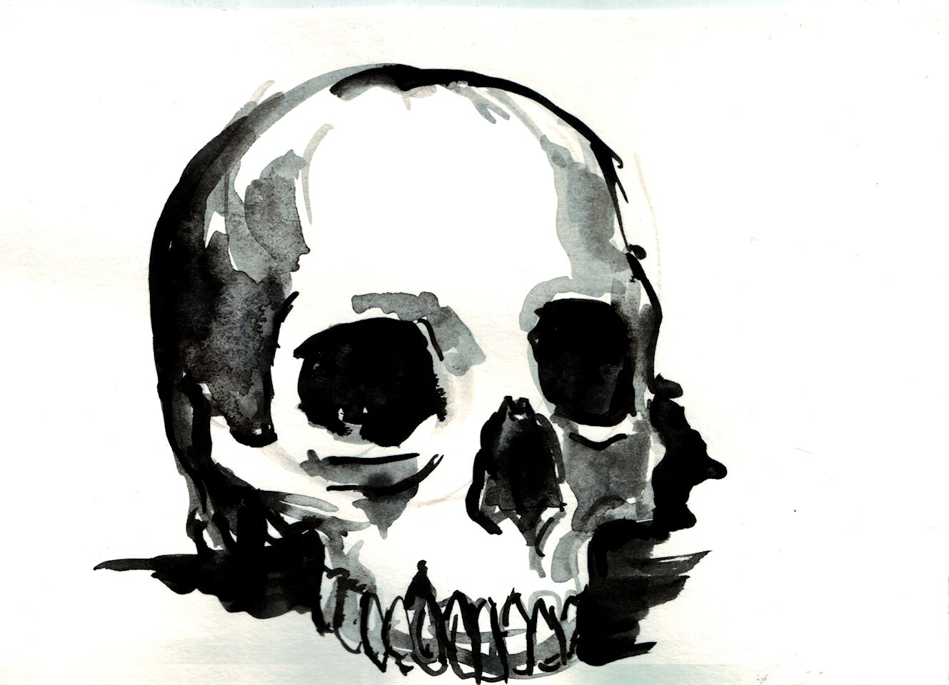 1329x960 Skull Drawing Ink For Free Download