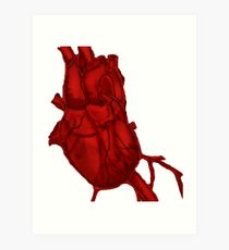210x230 Anatomically Correct Heart Drawing Art Prints Redbubble