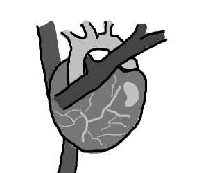 300x250 Draw Whatever Comes To Mind