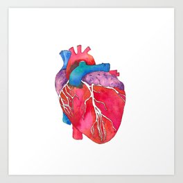 264x264 Anatomical Heart Art Prints