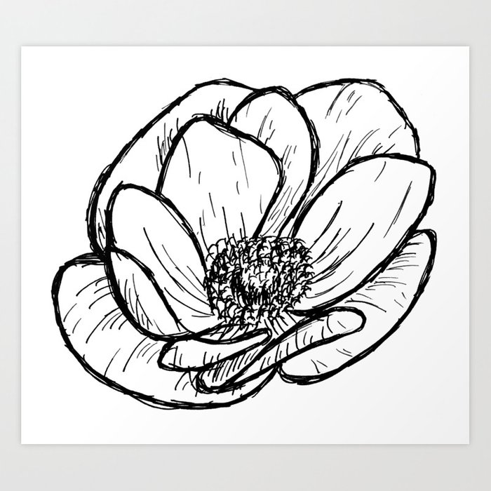 700x700 Anemone Floral Modern Line Drawing Art Print