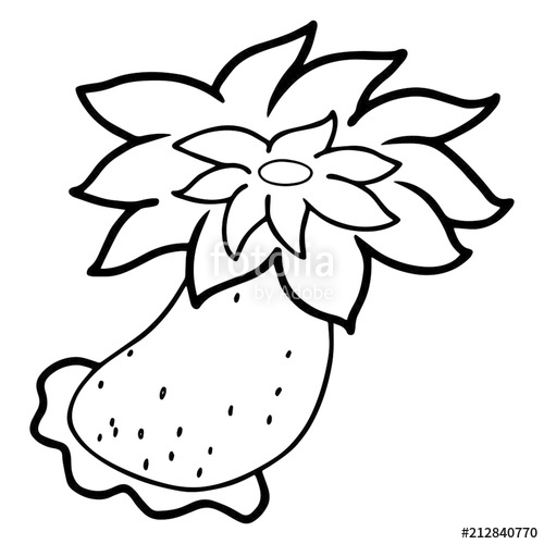 500x500 Anemone Cartoon Illustration Isolated On White Background