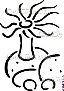 211x300 Sea Anemone Vector Clip Art
