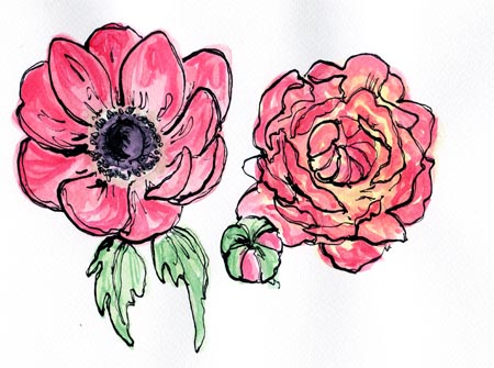 450x335 Flower Drawings Embletree