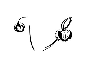 300x240 Hand Drawn Delicate Anemone Flower Calligraphy Style