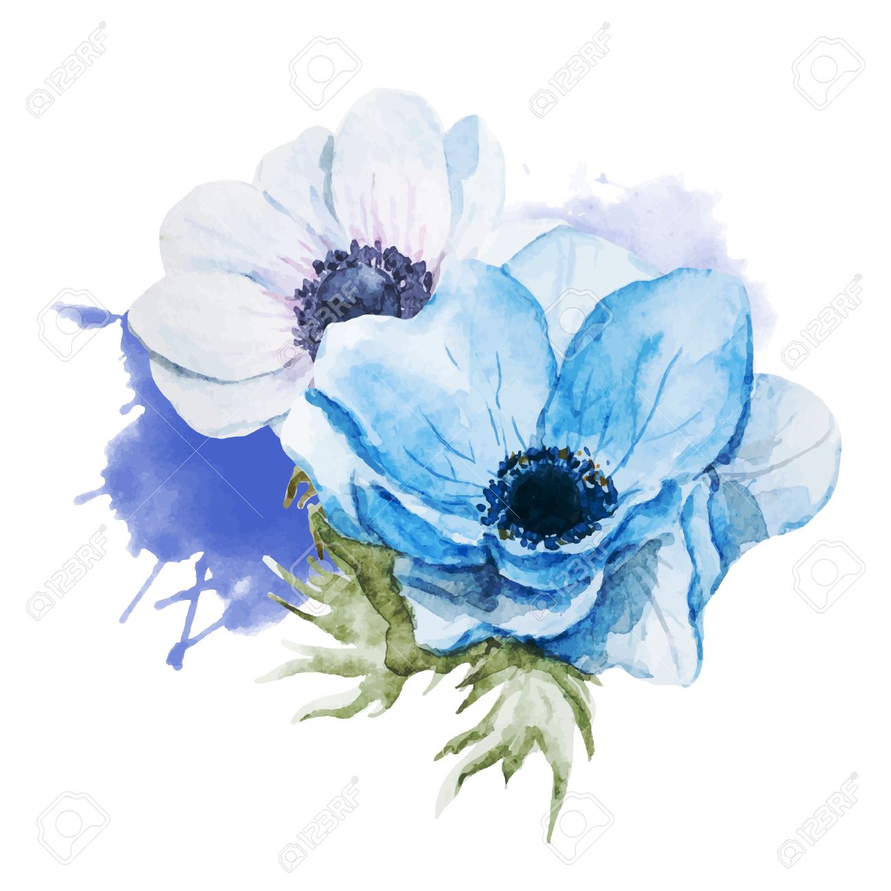 1300x1300 Anemone Flower Cliparts Clip Art
