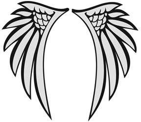 288x250 Drawings Of Angel Wings
