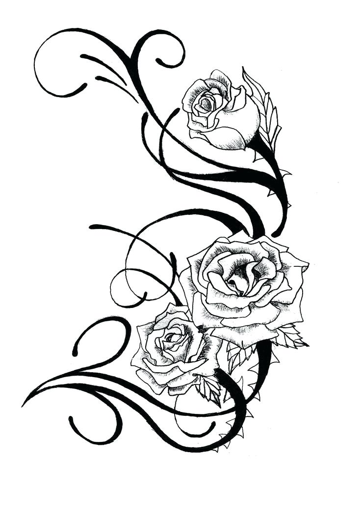 736x1044 Beautiful Rose Pencil Drawings