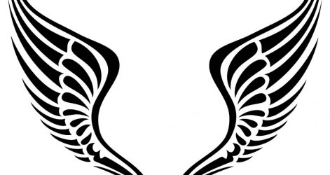 471x250 Angel Wing Step