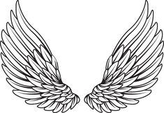 Angel Wings Drawing