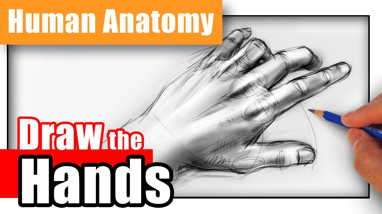 1280x720 How To Draw Hands From Any Angle