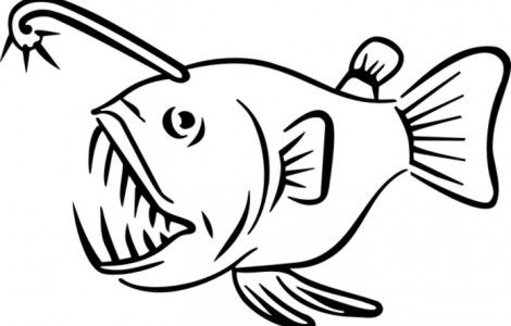 470x300 angler fish coloring pages cool portraits angler fish, fish
