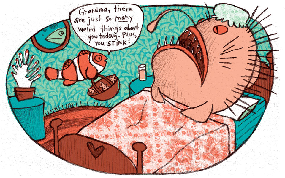 960x600 Animaladjective Illustrations Cece Bell