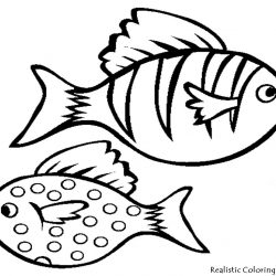 250x250 Fish Drawing Realistic Angler Skeleton Images Deep Sea Colour