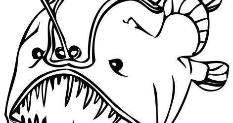 471x250 Angler Fish Drawing Easy Picture Step