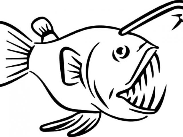 640x480 Anglerfish Clipart Albino
