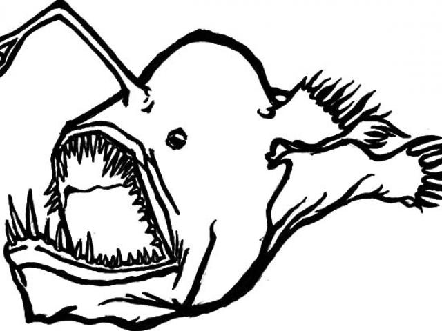 640x480 Anglerfish Clipart Eel