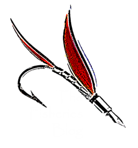 281x300 Drawing Nemo Angler Fish Transparent Png Clipart Free Download