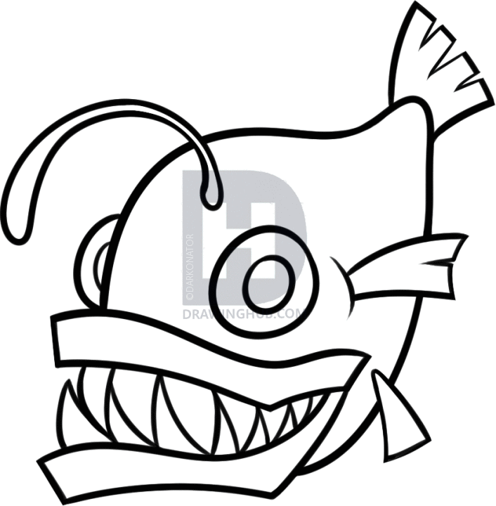 706x720 How To Draw An Anglerfish For Kids, Step