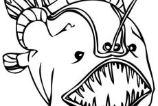 230x155 Kids Drawing Angler Fish Coloring Pages Best Place To Color