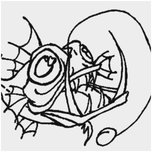 300x300 Angler Fish Coloring