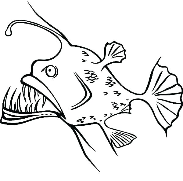 600x592 angler fish coloring pages free coloring pages of deep sea angler