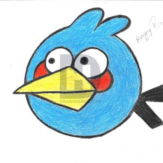 336x336 Angry Birds Drawing Videos Bomb Images Color Space Ice Blue