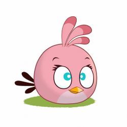 250x250 Pink Angry Bird Images