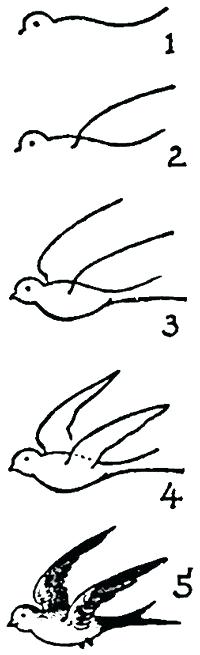 200x655 How To Draw Easy Birds Step