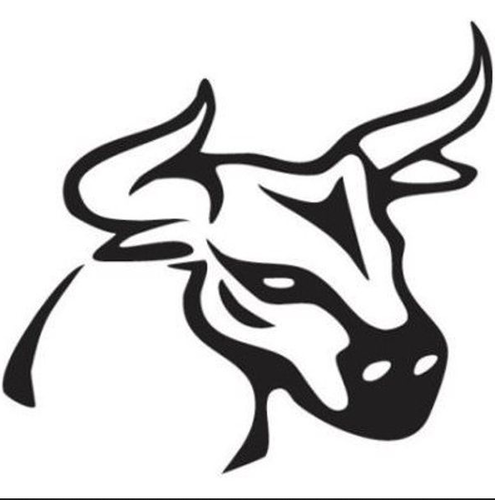 495x500 Cvanu Angry Bull Hood, Bumper, Sides, Windows Car Sticker