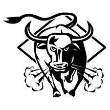 225x225 Arfa Aaina Angry Bull Car Sticker For Exterior Unique Look, X