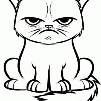336x336 Cat Whiskers Face Drawing Angry Simple A On Person Line Step