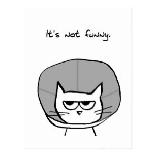 307x307 Grumpy Cat Postcards Zazzle Au