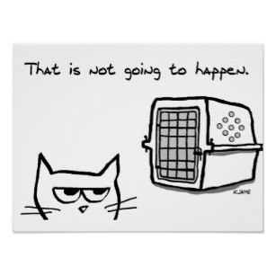 307x307 Grumpy Cat Posters Photo Prints Zazzle