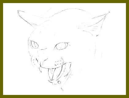 420x320 Images Of Angry Cat Drawing