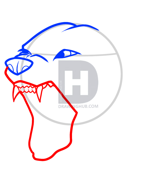 658x720 How To Draw An Angry Dog, Angry Dog, Step