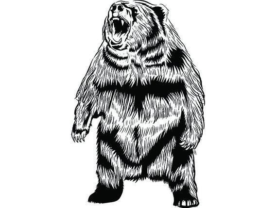 570x429 Huge Collection Of 'grizzly Bear Drawing Standing' Download More
