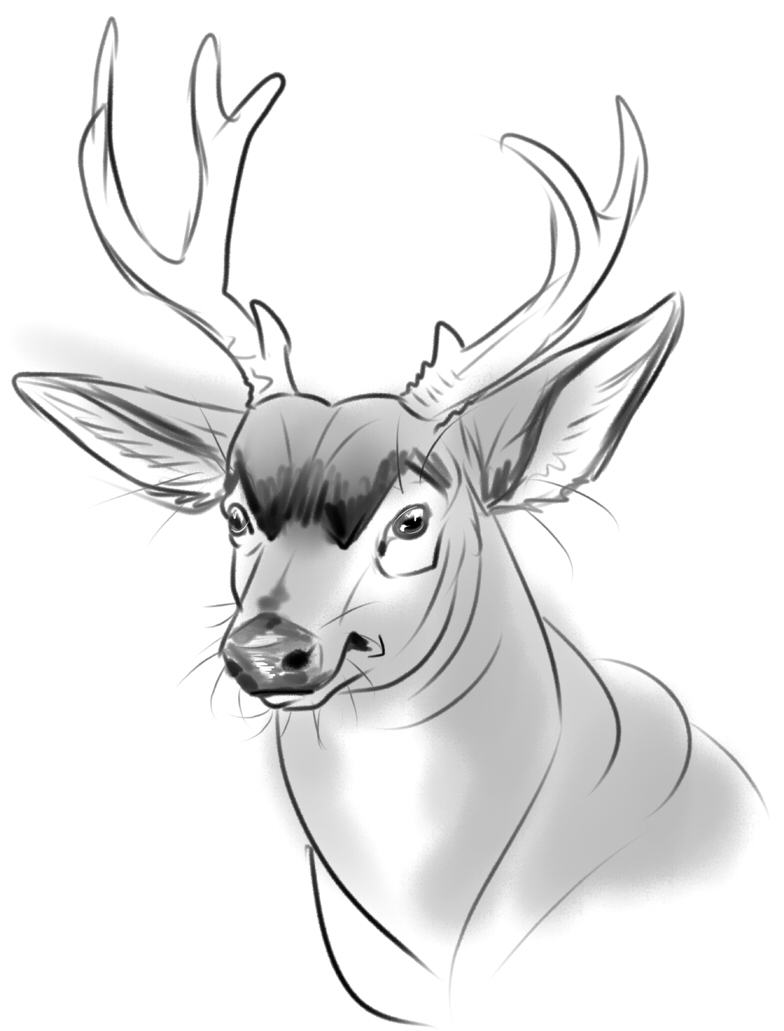 784x1031 Say Hello To Mister Angry Eyes