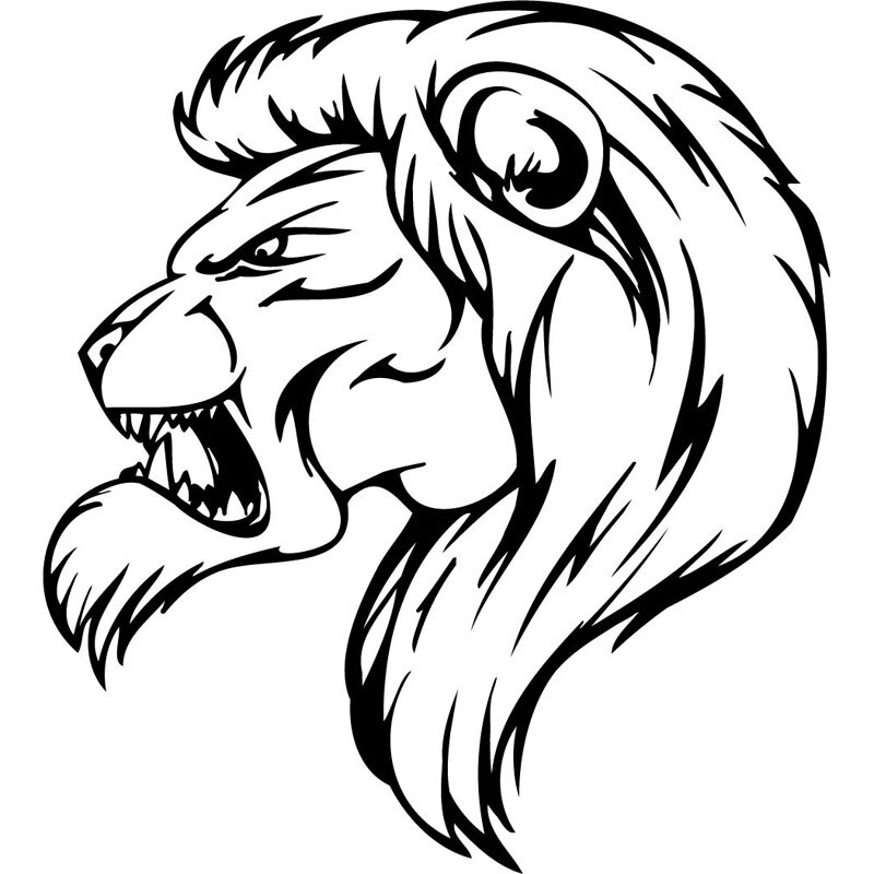 Angry Lion Drawing