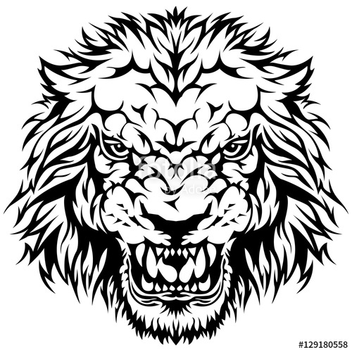 500x500 Head Of Angry Lion Stock Image And Royalty Free Vector