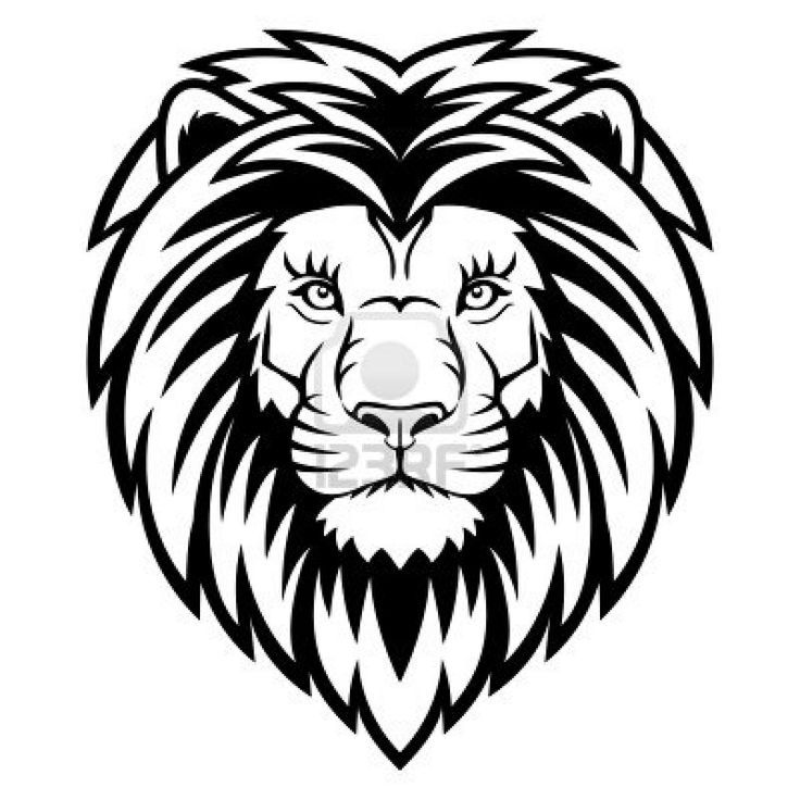736x736 How To Draw A Lion Head